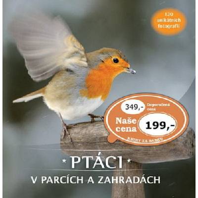 Ptáci v parcích a zahradách