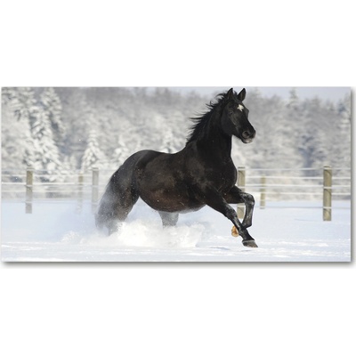 Foto obraz sklo tvrzené Kôň v cvale sneh 100x50 cm