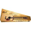 Cort Earth Pack