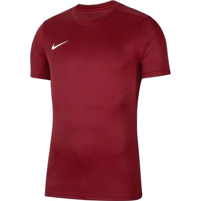 Nike Dry Park VII Jr BV6741 677