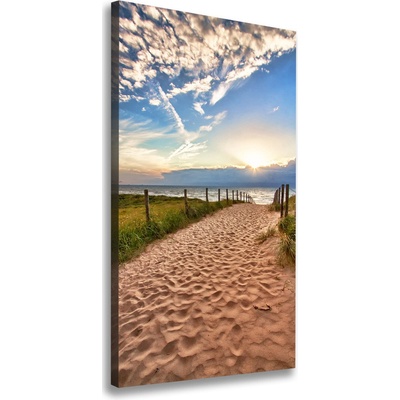 Vertikálny foto obraz na plátne Chodník na pláž 50x100 cm