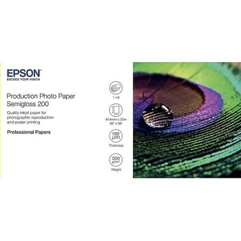 Epson C13S450377