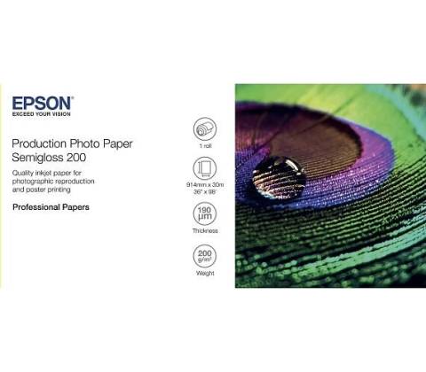 Epson C13S450377