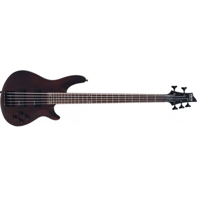 Schecter Omen 5