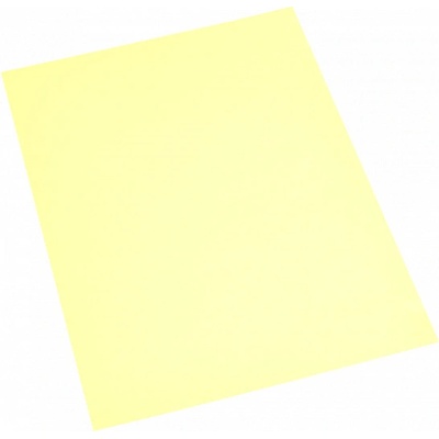 Barevný kopírovací papír chamois A2 80g 250 archů