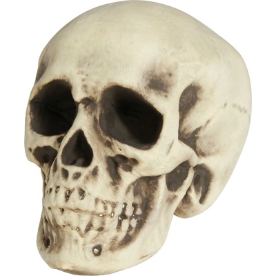 Fiestas Guirca Dekorácia - Penová lebka 20 cm