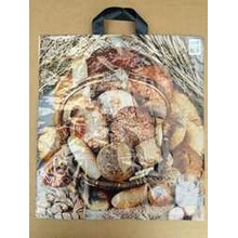 Taška igelitová LDPE foto ucho 46x50x5 cm - pečivo