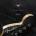 Fender Custom Shop at 30 Years | Steve Pitkin