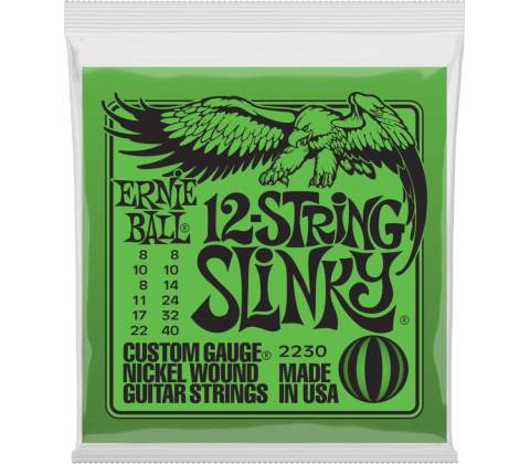 Ernie Ball P02230
