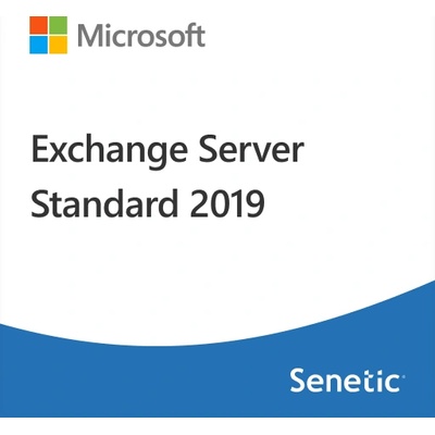 Microsoft Exchange Server Standard 2019 User CAL (DG7GMGF0F4MB-0004)