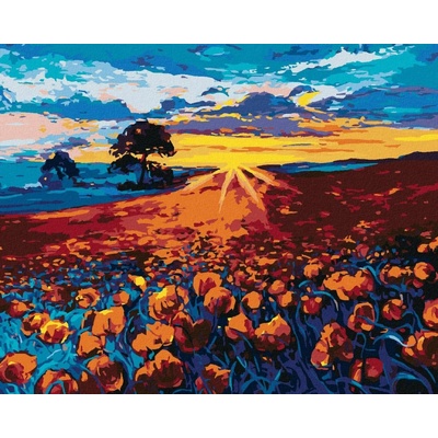 Zuty Malování Podle Čísel Vlčí Mák 80 x 100 Cm Plátno Rám
