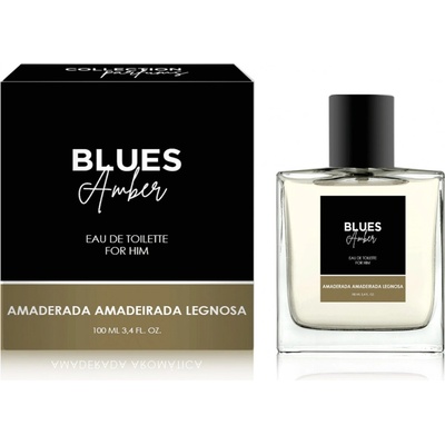 Melody Blues Amber toaletní voda pánská 100 ml