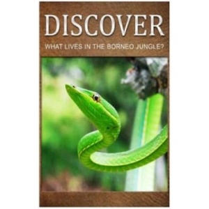 What Lives in the Borneo Jungle? - Discover | Discover Press (ISBN: 9781499366471)