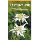 Rastliny hôr