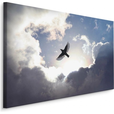 MyBestHome BOX Plátno Pták Na Obloze Varianta: 90x60