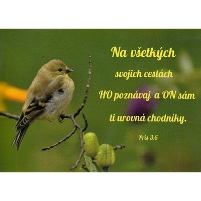 Pohľadnica: Na všetkých svojich cestách...
