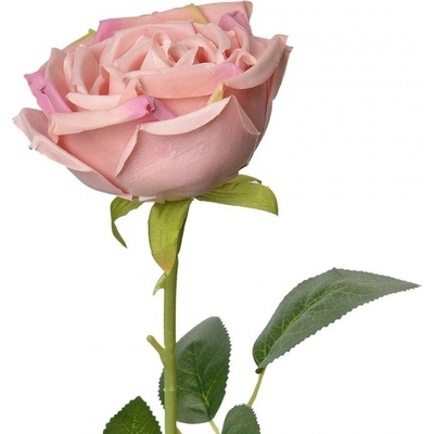 Dekorácia umelá kvetina ružová ruža Rose Pink - 9*9*61 cm - Clayre & Eef