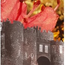 DEERHUNTER: MICROCASTLE CD