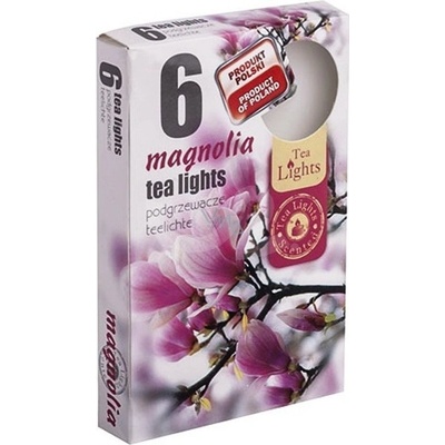 Admit Tea Lights Magnolia 6 ks