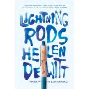 Lightning Rods | Helen Dewitt (ISBN: 9781908276292)