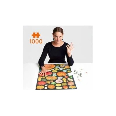 Bright Junior Media CzuCzu Puzzlove Pumpkins 1000 pieces ZA6106