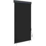 vidaXL Външна ролетна щора, 100x250 см, антрацит (145958)