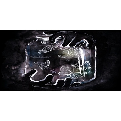 Foto-obraz fotografie na skle Motýle v skleníku 100x50 cm
