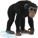 Collecta Šimpanz samica