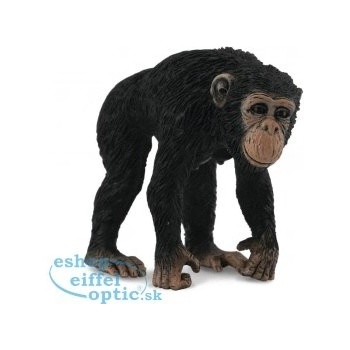Collecta Šimpanz samica