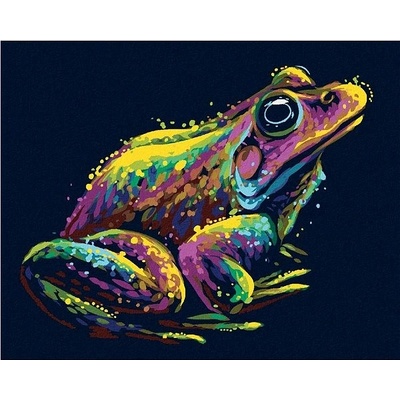 zuty Malování Podle Čísel Barevná Žába 40 x 50 Cm Plátno Rám