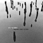 Kristin Hersh - Possible Dust Clouds (Limited Edition) (Silver Coloured) (LP) (0809236153678)