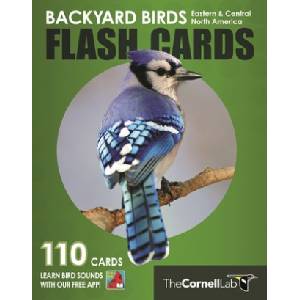 Princeton univ pr Backyard Birds Flash Cards - Eastern & Central North America | Cornell Lab of Ornithology