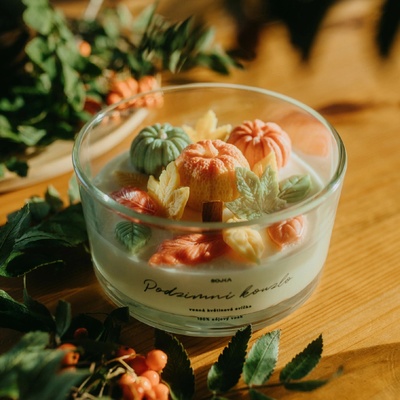 SOJKA PODZIMNÍ KOUZLO Květinová svíčka s kaktusy 440 g