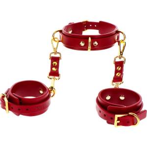 Taboom Bondage in Luxury D-Ring Collar and Wrist Cuffs