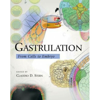 Gastrulation: From Cells to Embryo