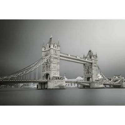 Postershop Fototapeta vliesová Šedivý Tower Bridge, rozměry 254x368 cm