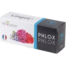 Véritable Lingot Flox