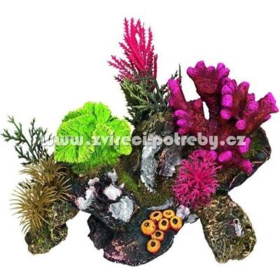 Nobby Korál s rostlinami 17x12,5 cm
