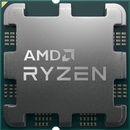 AMD Ryzen 5 9600 6-Core AM5 Tray (100-000000718)