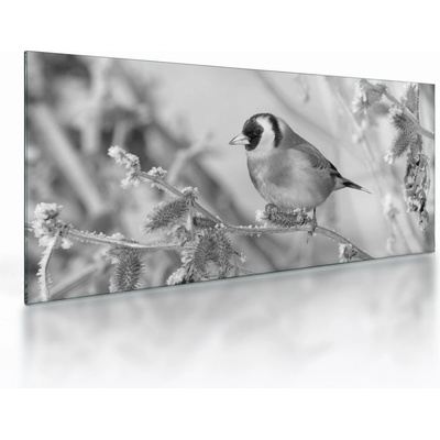 Sklenený obraz - Vtáčik v zime, jednodielne 100x50 cm na skle