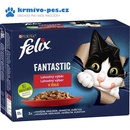 Felix Fantastic masový výběr 12 x 85 g