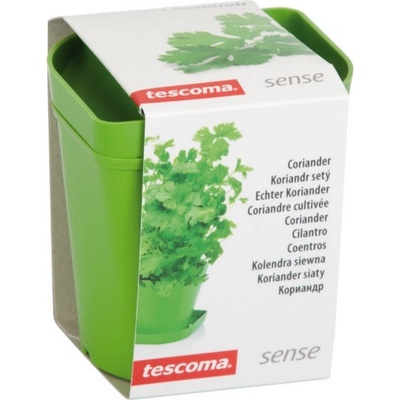 TESCOMA souprava pro pěstování bylinek SENSE, koriandr