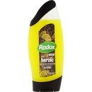 Radox Men Lemon Tea Tree sprchový gel 250 ml