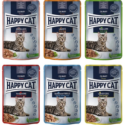 Happy Cat Pouch Meat in Sauce 24 x 85 g Pstruh v pramenitej vode