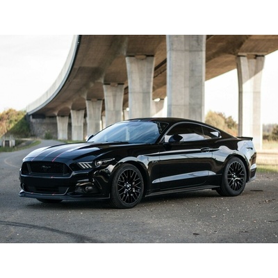 Jízda v supersportu Ford Mustang V8 55th Anniversary Edition