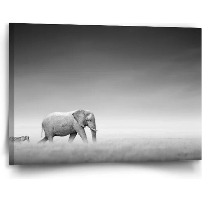 Sablio Obraz Slon a zebra - 90x60 cm