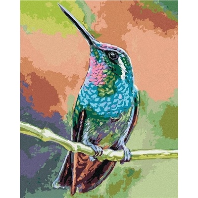 zuty Malování Podle Čísel Kolibřík Na Větvi 80 x 100 Cm Plátno
