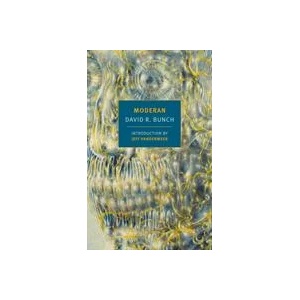 Moderan | Jeff VanderMeer (ISBN: 9781681372549)