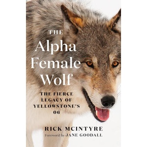 The Alpha Female Wolf: The Fierce Legacy of Yellowstone's 06 | Jane Goodall (ISBN: 9781778401770)