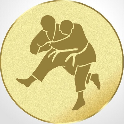 D1-8B/G Emblém pr.25mm judo zlatý 2,5 cm